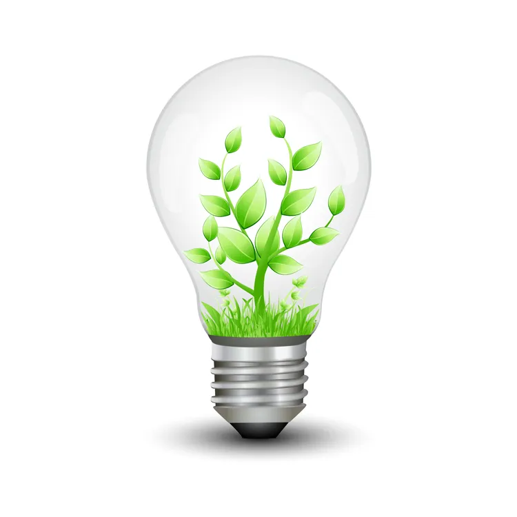 The Future of Energy-Efficient Homes